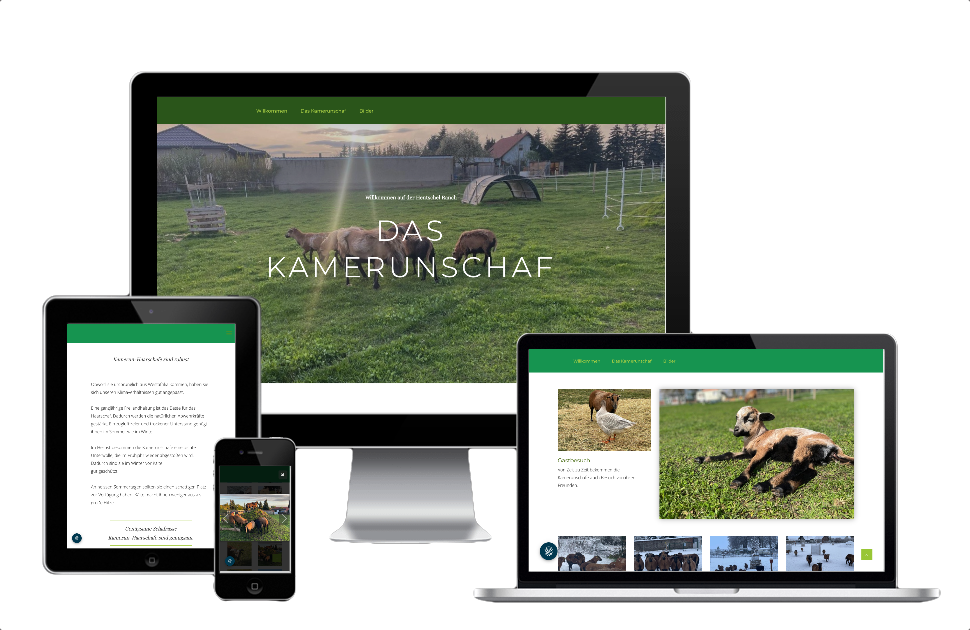 LaSue Internetseiten, Webdesign, Internet, Webseiten, Gestaltung von Werbung, Hosting & Datensicherheit, Datenvererbung u. digitaler Nachlass. Wasserburg am Inn, Traunstein, Rosenheim, Haag, Pfaffing, Steinhöring, Ebersberg, München, Haar, Mühldorf, Edling, Glonn, Troisberg, Griesstätt, Rott am Inn, Attel, Vogtareuth, Mühldorf